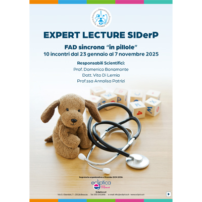 Expert lecture SIDerP