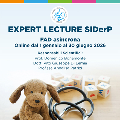 Expert Lecture SIDerP