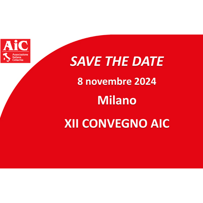 XII Convegno AIC